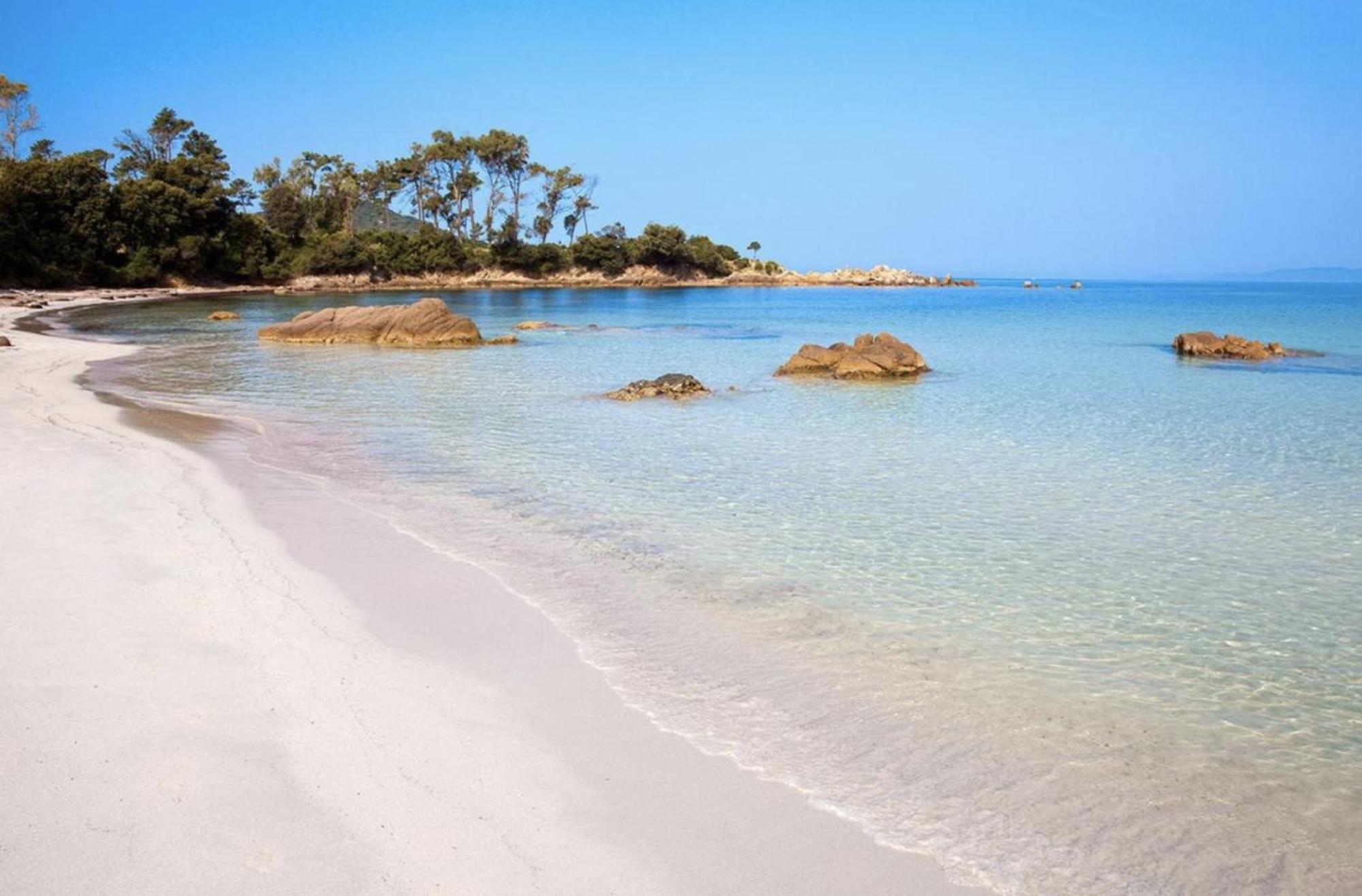Les Calanques Route Des Sanguinaires- Piscine - Parking & Wifi Gratuit - Apartamento Ajaccio (Corsica)